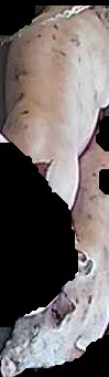 Crop