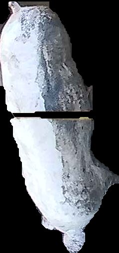 Crop