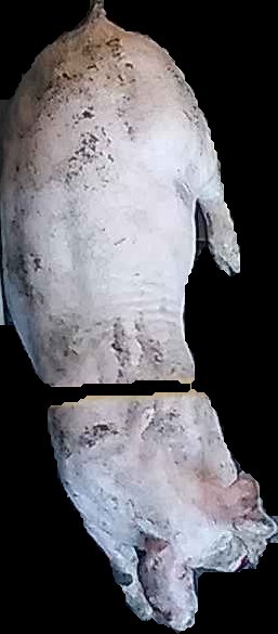 Crop