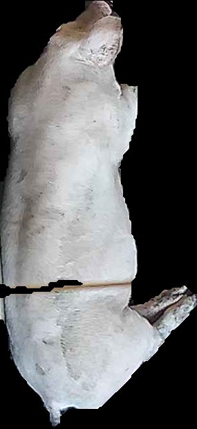 Crop