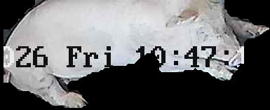 Crop