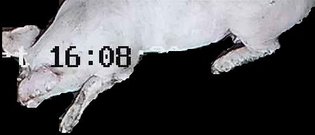 Crop