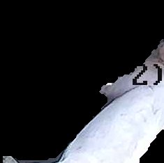 Crop