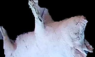 Crop