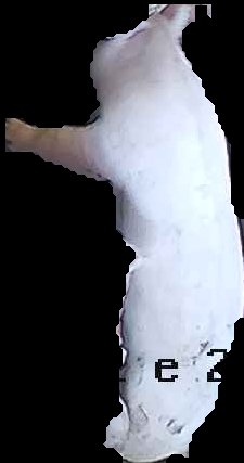 Crop