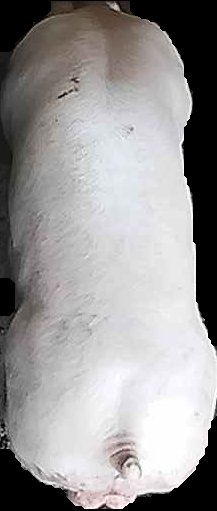 Crop