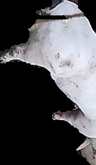 Crop