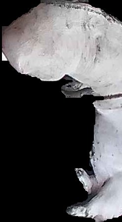 Crop