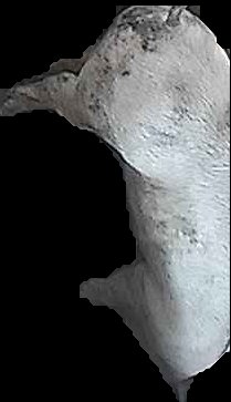 Crop