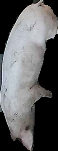 Crop