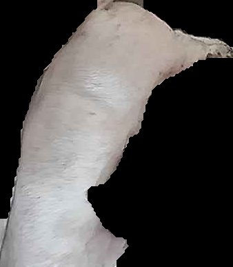 Crop