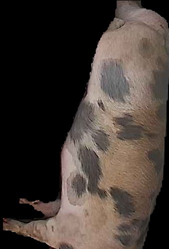 Crop