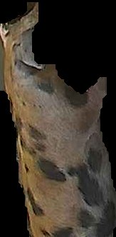 Crop