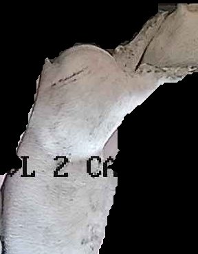 Crop