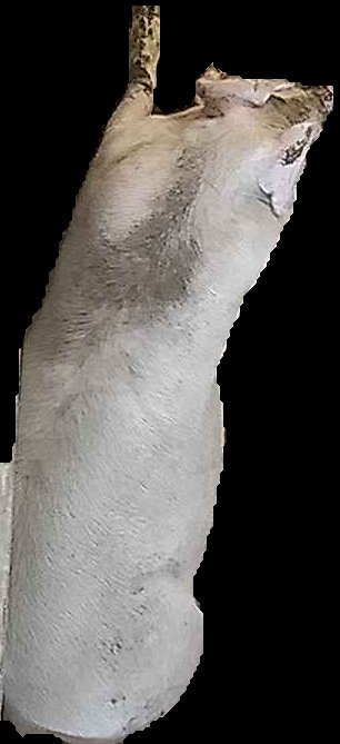 Crop