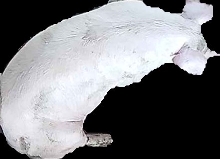 Crop
