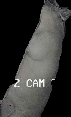 Crop