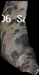 Crop