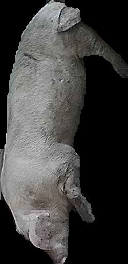 Crop