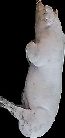 Crop