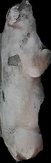 Crop