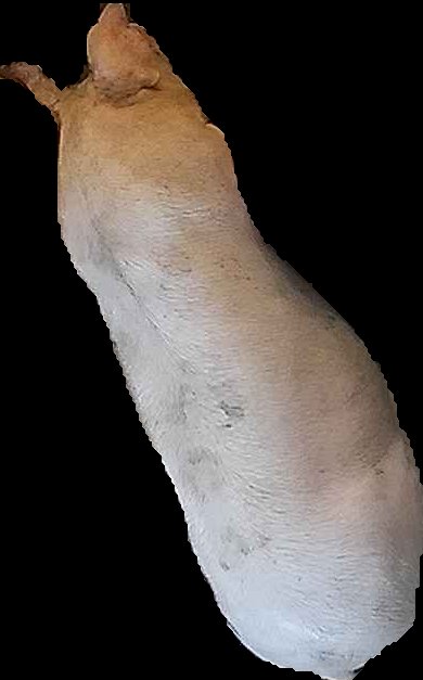 Crop