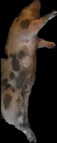 Crop