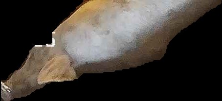 Crop