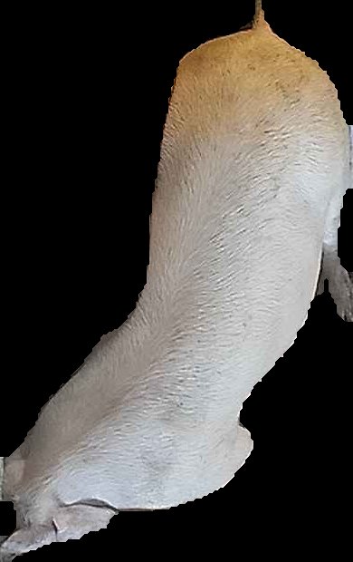 Crop