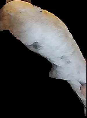 Crop