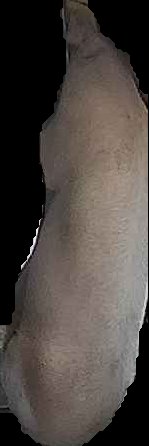 Crop