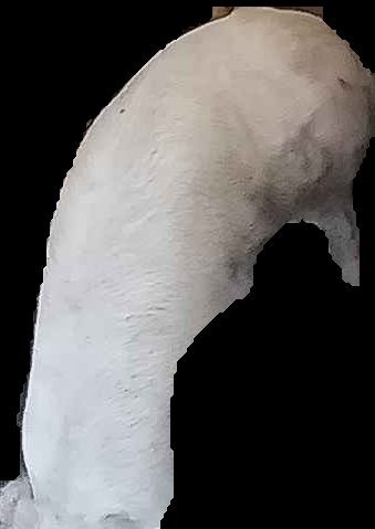 Crop
