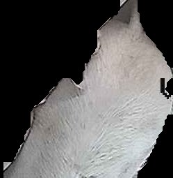 Crop