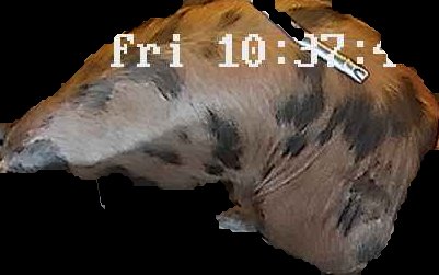 Crop