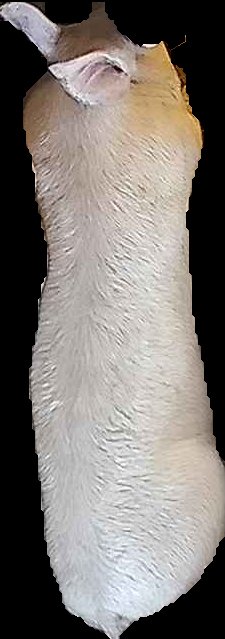 Crop