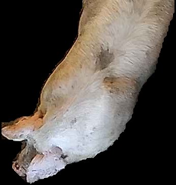 Crop
