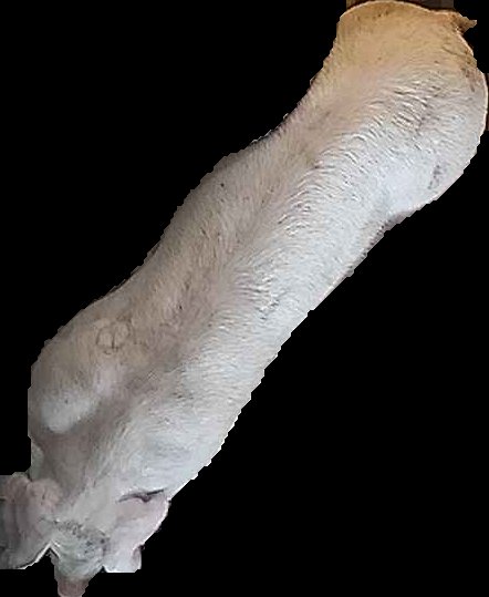 Crop