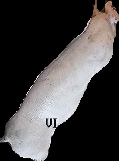 Crop