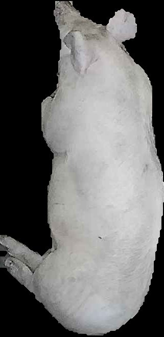 Crop