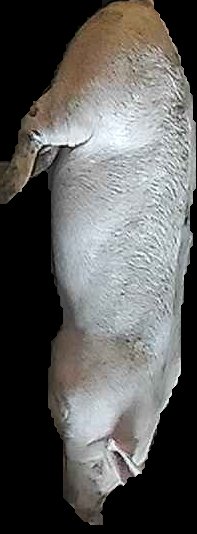 Crop