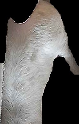 Crop