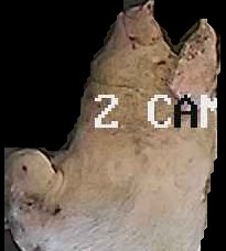 Crop