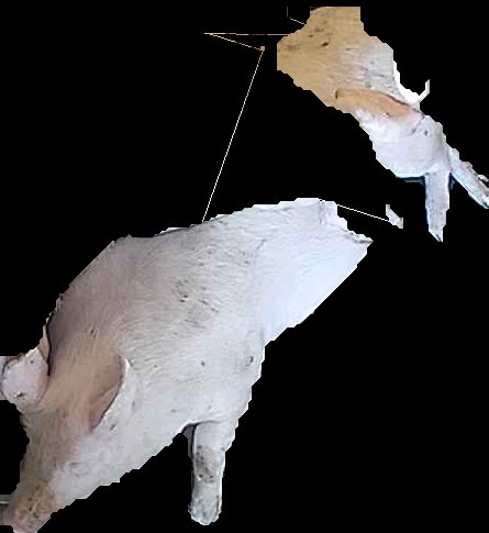 Crop