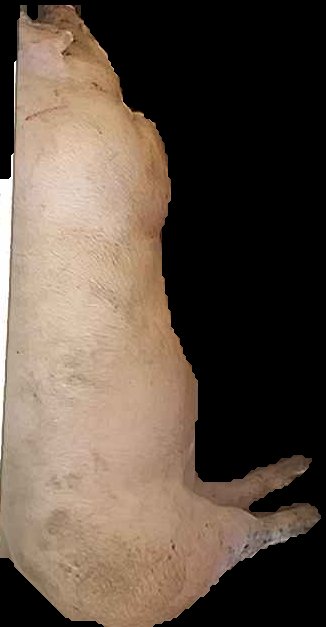 Crop
