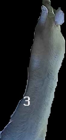 Crop
