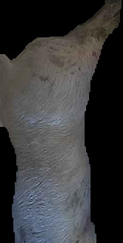 Crop