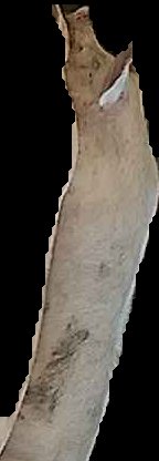 Crop
