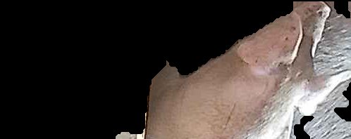 Crop