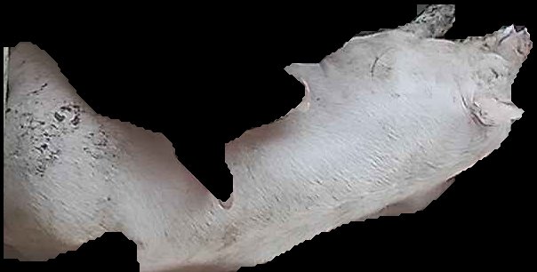 Crop