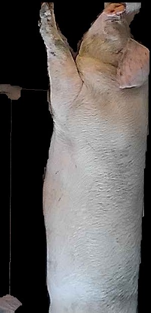 Crop
